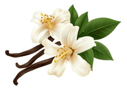 Vanilla