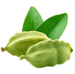 Cardamom