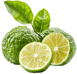Bergamot