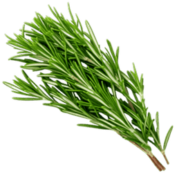 إكليل الجبل