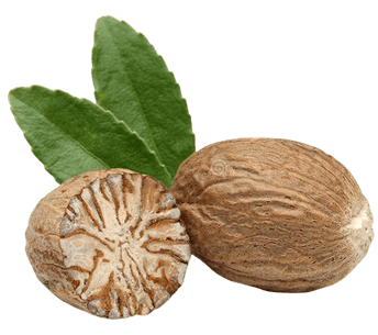 جوزة الطيب
