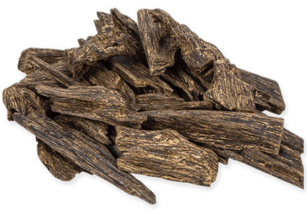 العود